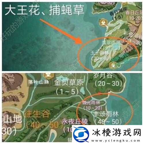 如何获取创造与魔法中淘气兔图纸的攻略指南