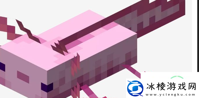 我的世界粉色的鱼美西钝口螈怎么钓