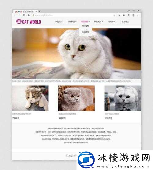 Dw 成品网站成品可随时进行观看-方便快捷