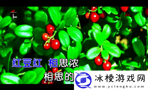 红豆影视传媒有限公司：1.-＂红豆影视传媒：打造引领潮流的视觉盛宴