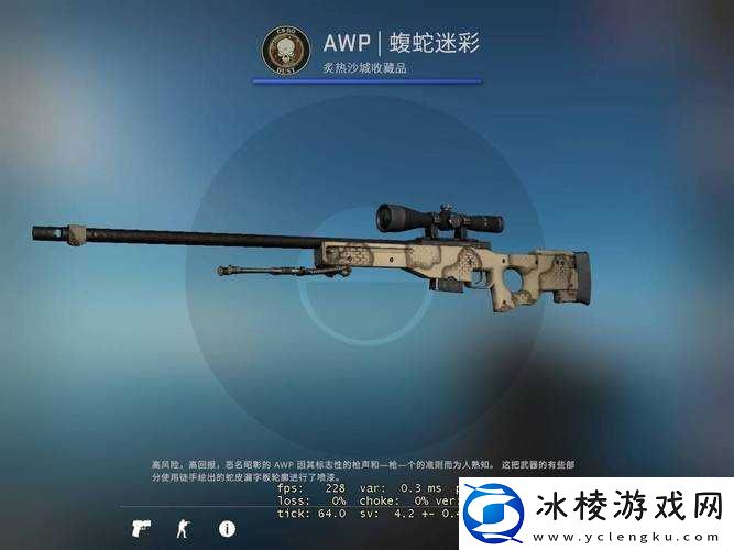 日本-csgo-大姐姐-awp-多少钱：价格探究