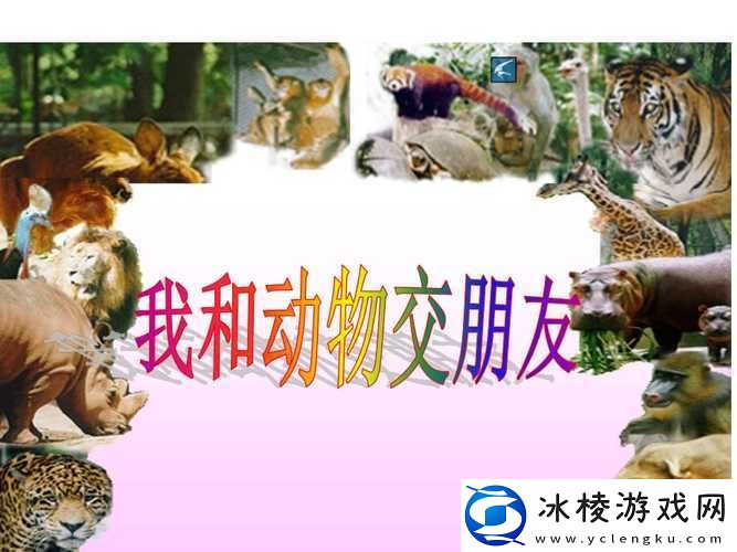 人与动物 PPT 免费模板大全：丰富你的演示文稿