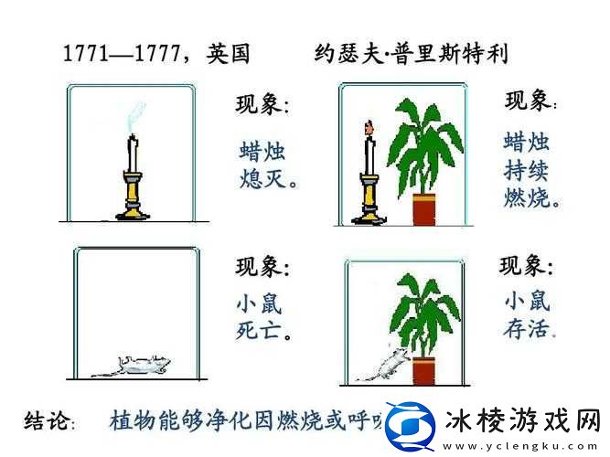 新拟探索天命奥秘：龙钢指环的神秘作用与冷凝钢的获取方法