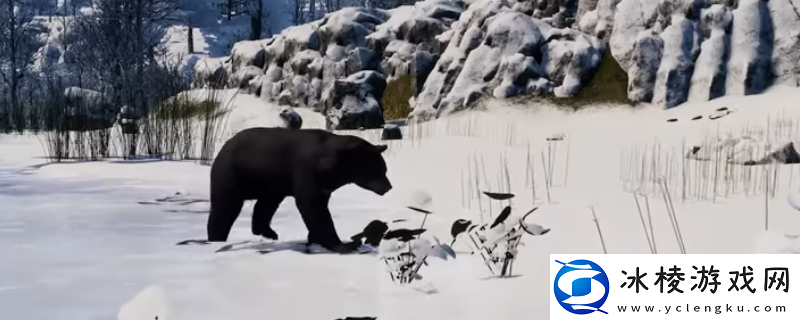 战国王朝青铜材料具体作用介绍