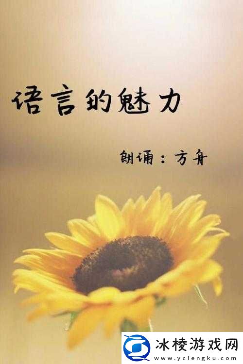 最好看的 2018 中文中国国语：语言魅力之所在