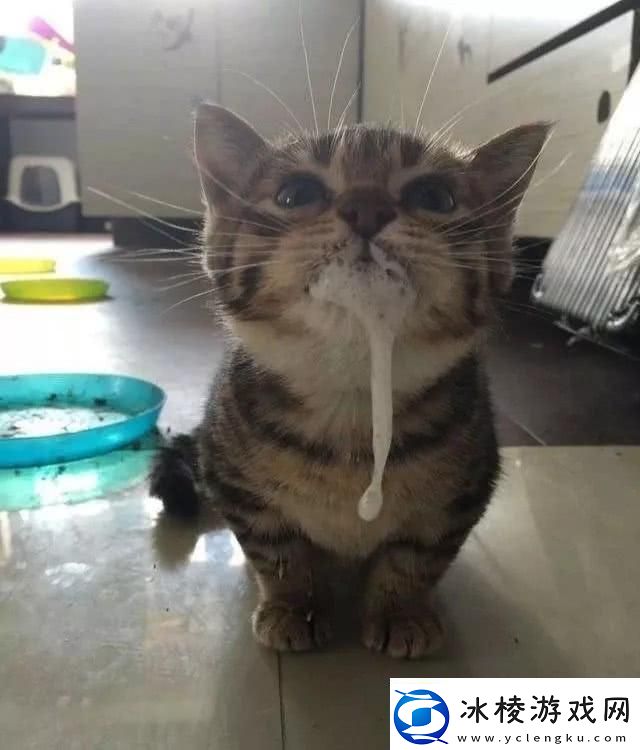 猫咪「吧唧嘴」奇遇记：白沫的背后友热议的科技奥秘