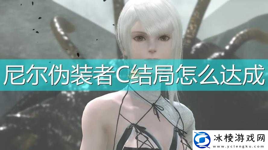 尼尔伪装者C结局达成攻略：详细步骤解析与实现方法介绍