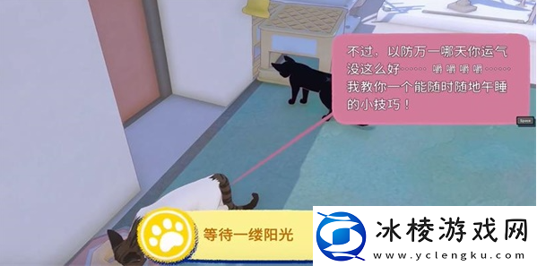 小猫咪大城市等待一缕阳光任务攻略