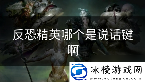 反恐精英哪个是说话键啊