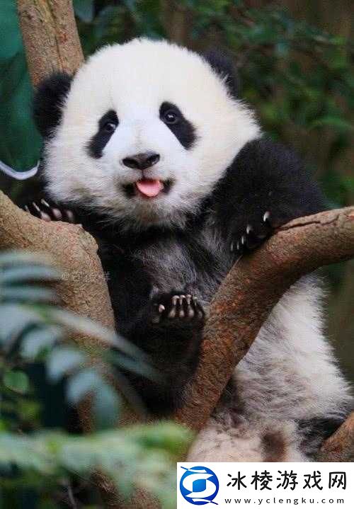 宝宝握住它坐下：自己-C-照片之萌态瞬间