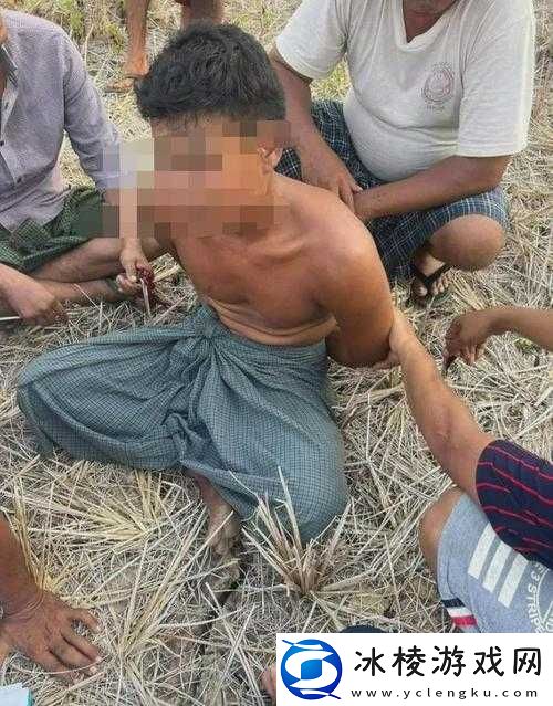 缅甸北部血腥网站最新消息：揭秘网络背后的黑暗世界