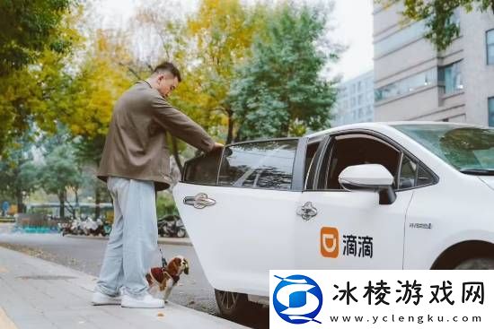 滴滴宠物出行全国上线！新增宠物快车车型