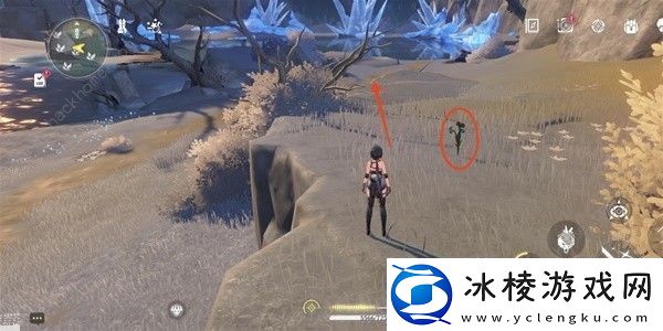 鸣潮傲寒钟采集路线图