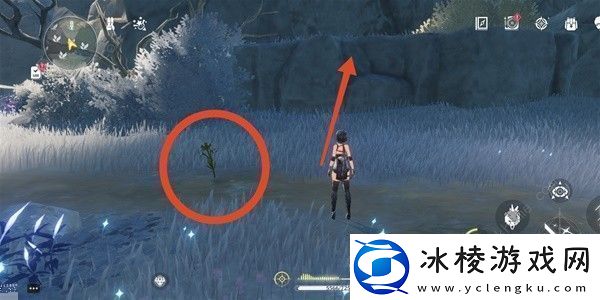 鸣潮傲寒钟采集路线图