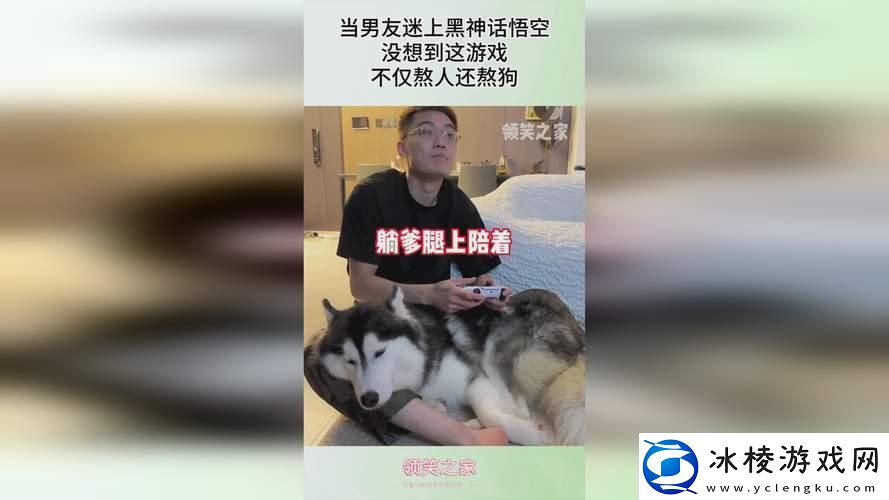 海归勇闯黑三角：笑话一场科技圈的新谈资