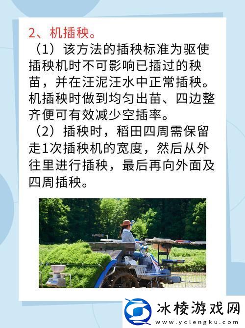 夫妻插秧38种方法图片大全-友：用心和爱编织田间情