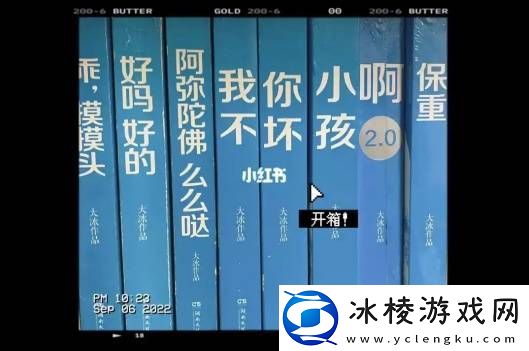 一直被鄙视的文青大冰