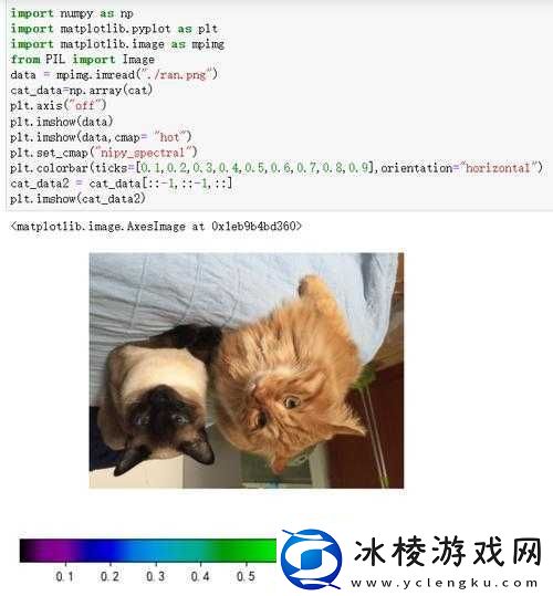 python人狗大csdn：一场人与狗的奇妙冒险