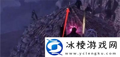 不虔诚诺胡塔人的戒指获得方法介绍：宠物技能冷却时间管理