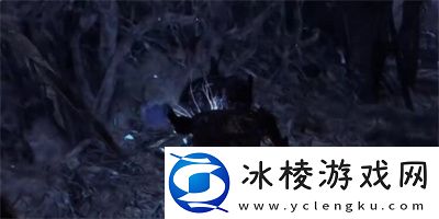 光辉卓越戒指怎获得方法介绍：攻略分享技能要领