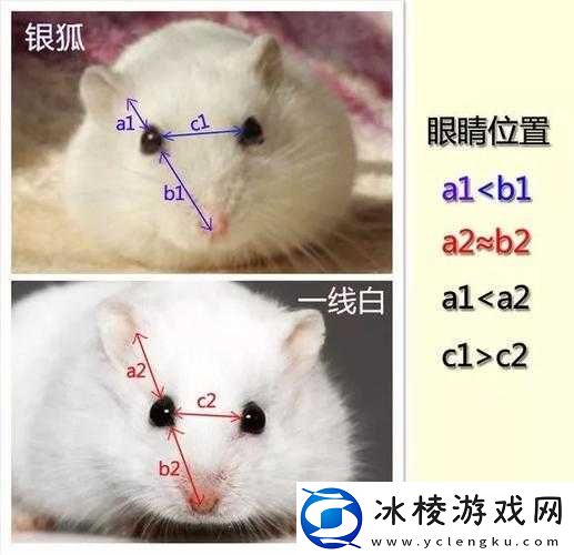 日本一线和三线的区别是什么：