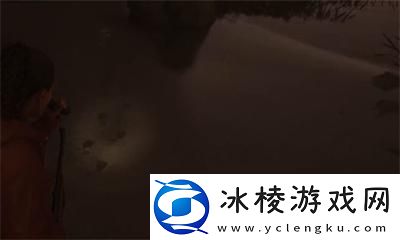 瓦尔哈拉养老院护身符位置介绍：限时活动奖励最大化