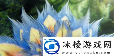 至美风华皮肤获得方法介绍:世界探险全解析指引