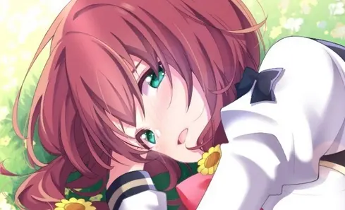 绅士游戏推荐手游-2D像素风格横版的绅士游戏有哪些