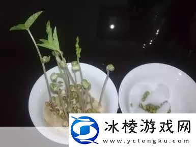 10岁幼儿TREE小学生：1.-小小探索者：让孩子们发现自然的奥秘