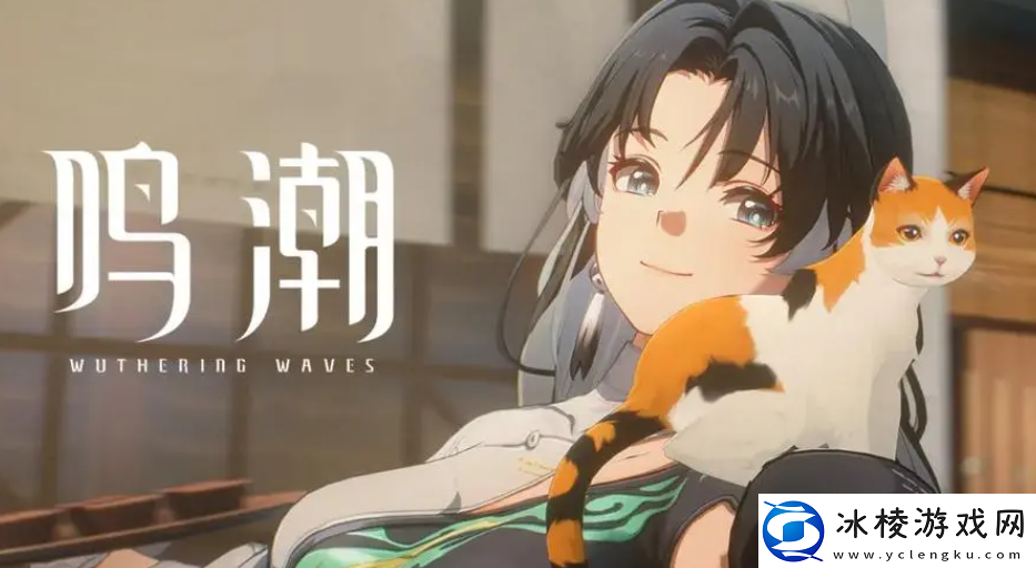 鸣潮古今多少故事荒石高地书籍残卷在哪：任务优先级高效安排