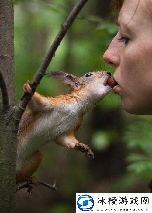 人物动物互动高清视频素材下载资源汇总