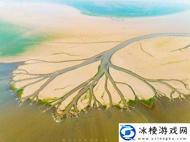 丫头牦户一张一合的奇妙景象