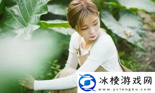 免费看大片!番茄影视大全在线观看免费版让观影更轻松！