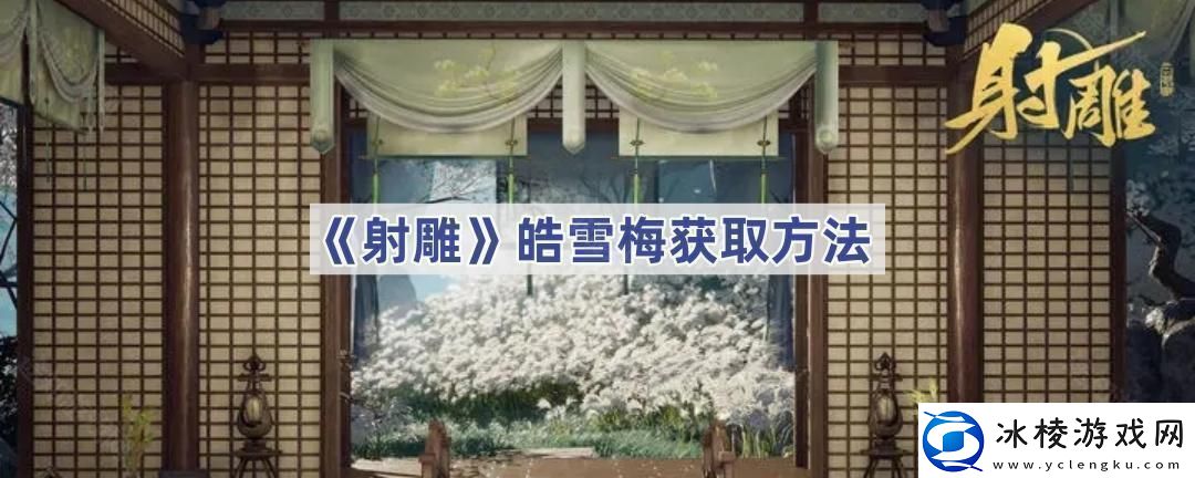 皓雪梅获取方法隐藏功能使用技巧