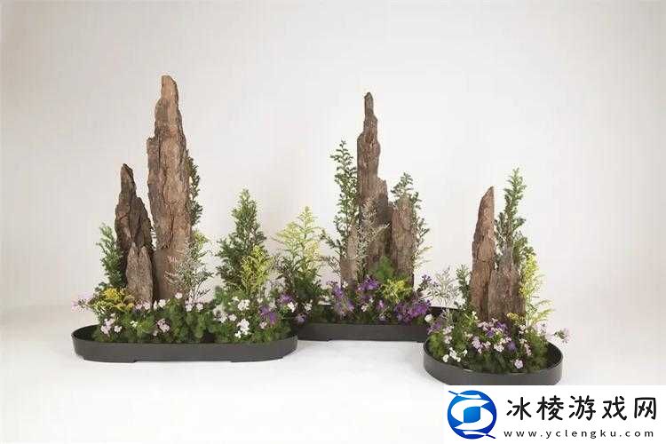 紫龙插花芯的禁忌：这些要点要牢记