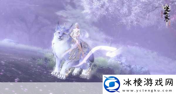 问道全新世道大会震撼来袭群P新体位挑战你的战斗极限！