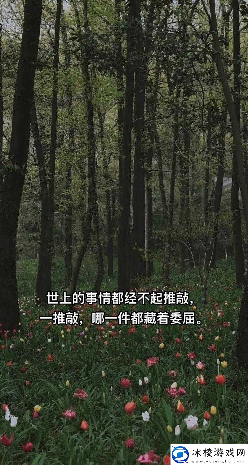 六十分钟不遮不掩：深度解析的一小时