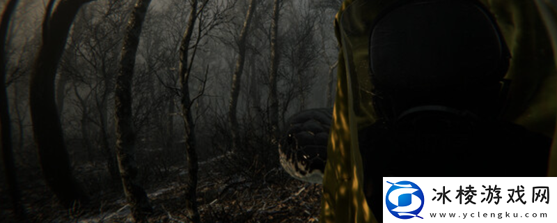 DIGESTED游戏官网地址介绍