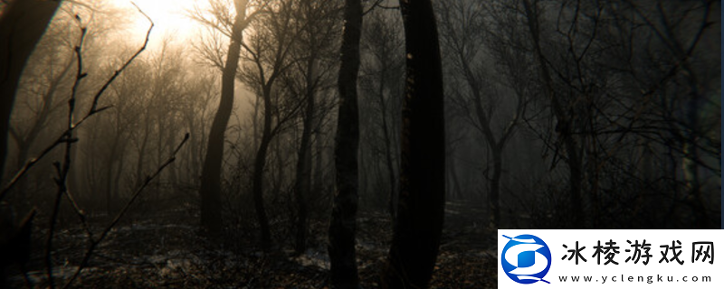 DIGESTED下载安装教程介绍