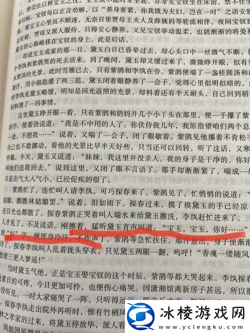 黛玉初试金箍棒第二章续情之篇