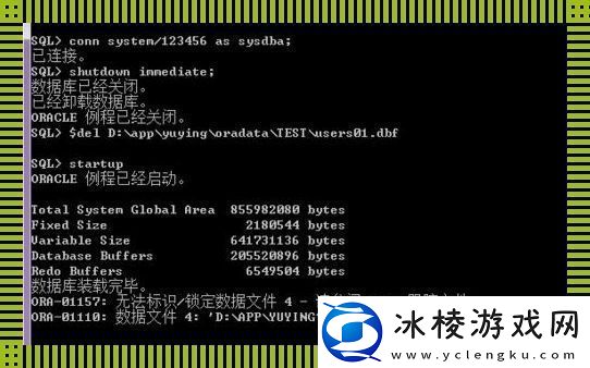 Oracle备份与恢复：如同驯兽师的绝技