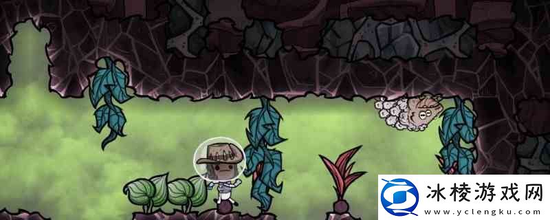 缺氧剪毛站作用分享