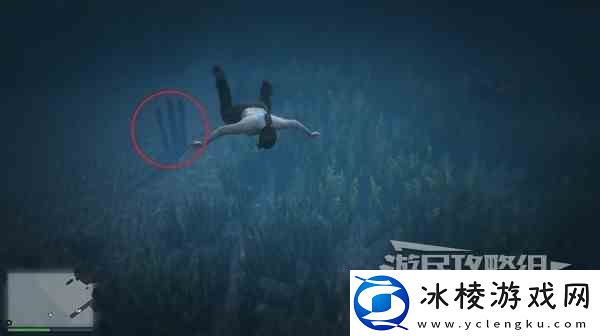 GTAOL全海底迷幻仙人掌位置一览