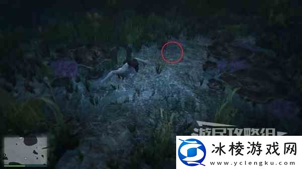 GTAOL全海底迷幻仙人掌位置一览