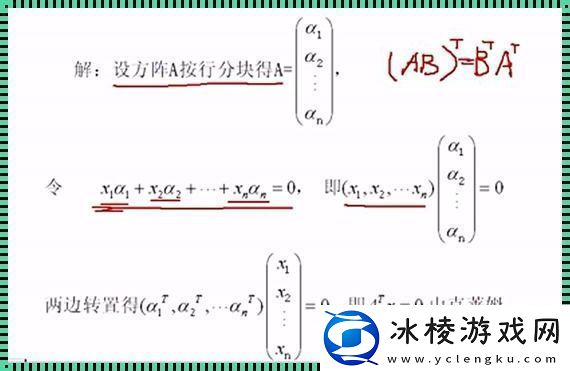 “浪子”行列式线性无关的“嬉皮笑脸”