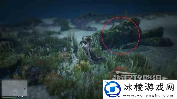 GTAOL全海底迷幻仙人掌位置一览
