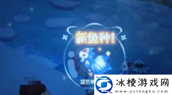 奥比岛梦想国度游戏内的龙鱼要怎么钓-奥比岛梦想国度钓龙鱼攻略