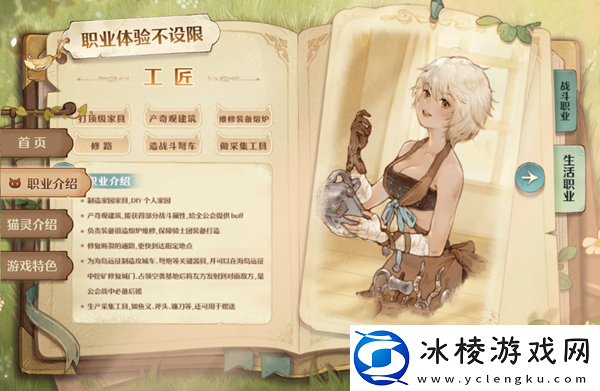 职业介绍：神秘任务全解析指南