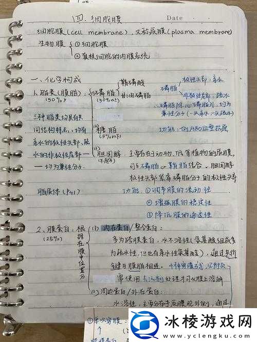 关于生物原型手机版培养加点顺序攻略分享：详细解析与最佳路径指引
