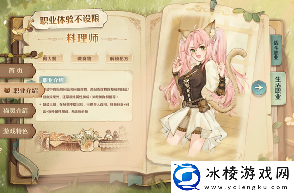 职业介绍：神秘任务全解析指南